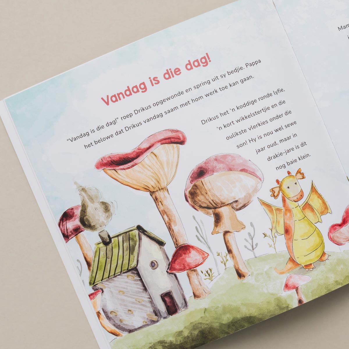 Drikus die Drakie Storieboek