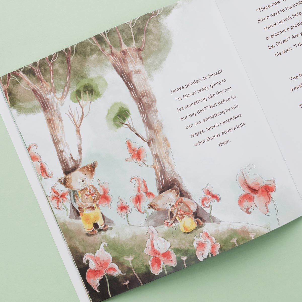 Oliver and James Storybook