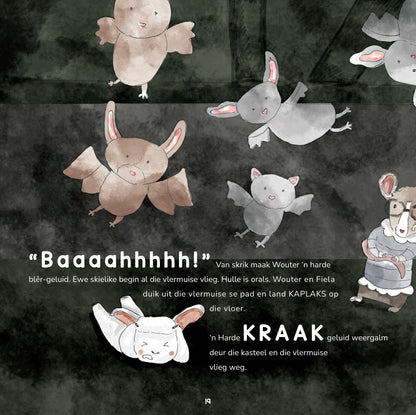 Wouter Wolskaap Storieboek